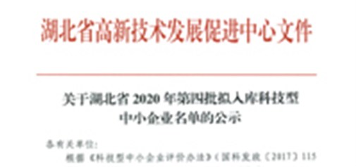 恭喜我司獲得武漢市“科技型中小企業(yè)”榮譽(yù)稱號(hào)！